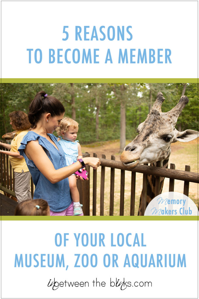 5 Reasons to become a member of your local museum, zoo or aquarium