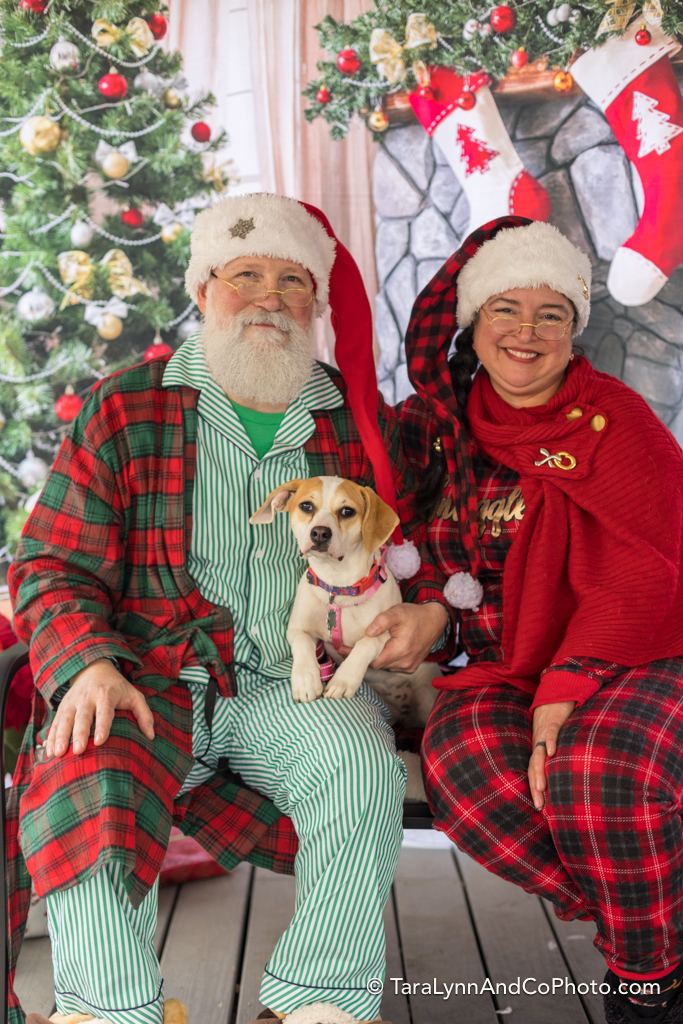 Giving Back: Holiday photo booths for the dogs